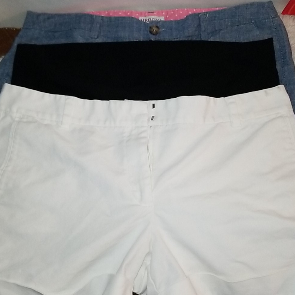 Size 12 shorts bundle (women)